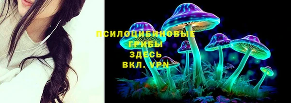 тгк Кулебаки