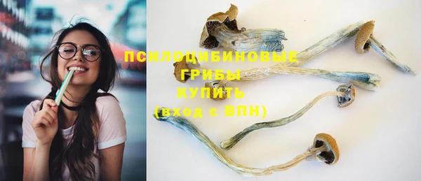 тгк Кулебаки