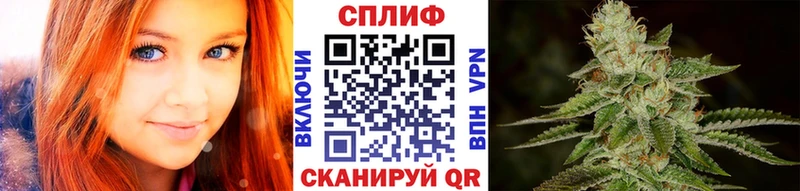 Бошки Шишки ГИДРОПОН  как найти наркотики  shop Telegram  Лобня 
